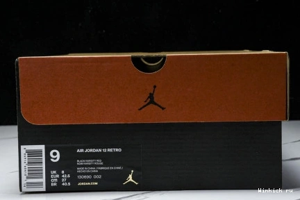 Flu Game 12 JORDAN AIR (2025) 1125